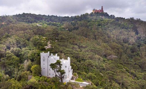 Castle for sale in Portugal - Castelo Monte Sereno sml