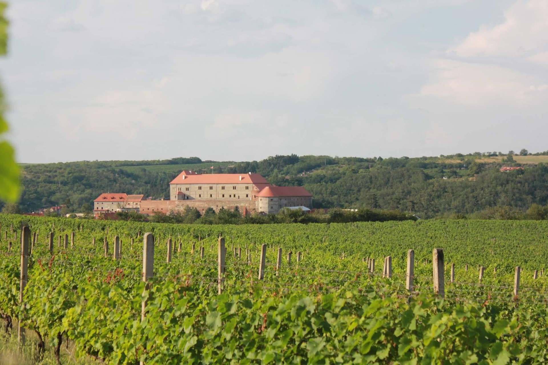 Dolní Kounice: A Moravian Fortress of Timeless Grandeur