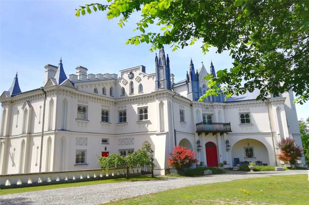 Palace for sale in Patrykozy Poland 4