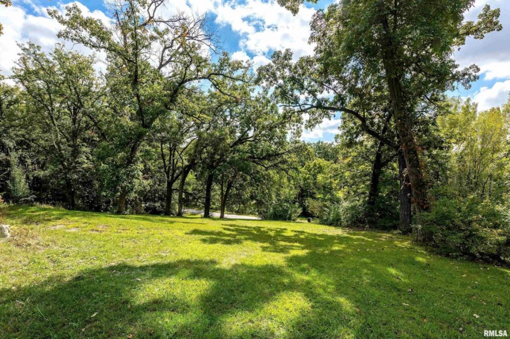 The Stone Crown of Orion: A 1895 Castle Whispering Through 27 Wooded Acres