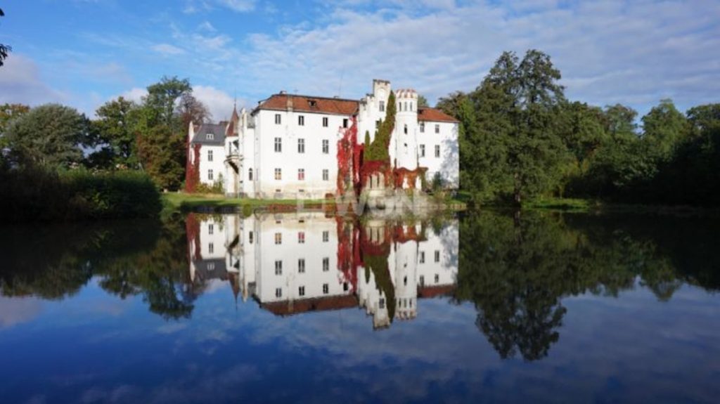 Dobrocin palace for sale - Poland 1