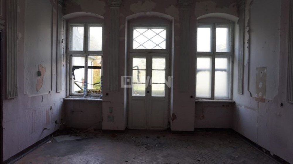 Dobrocin palace for sale - Poland 10