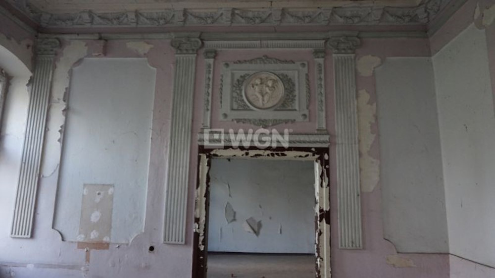 Dobrocin palace for sale - Poland 12