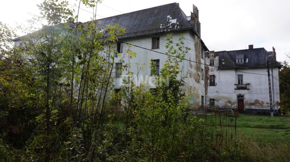 Dobrocin Palace: A Slumbering 18th-Century Masterpiece Awaiting Its Renaissance - 5