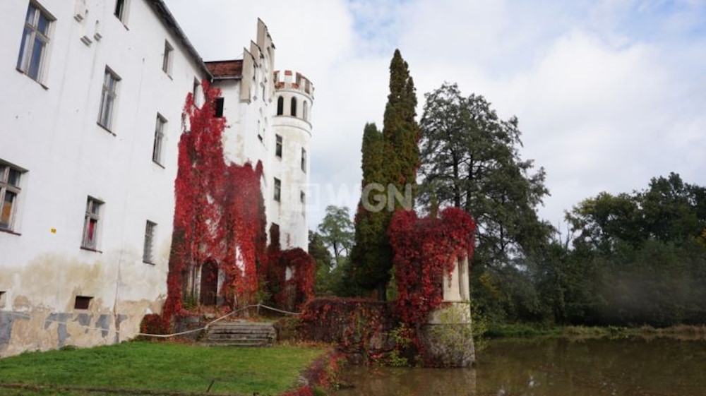 Dobrocin palace for sale - Poland 7