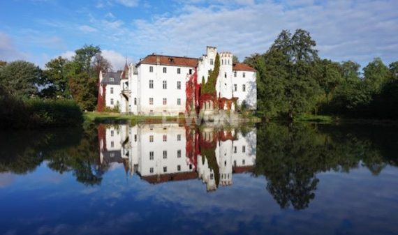 Dobrocin palace for sale - Poland thumb