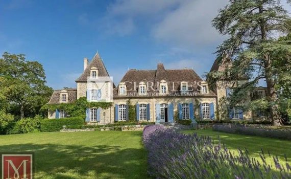 Stunning Chateau for sale with park near Bergerac France sml
