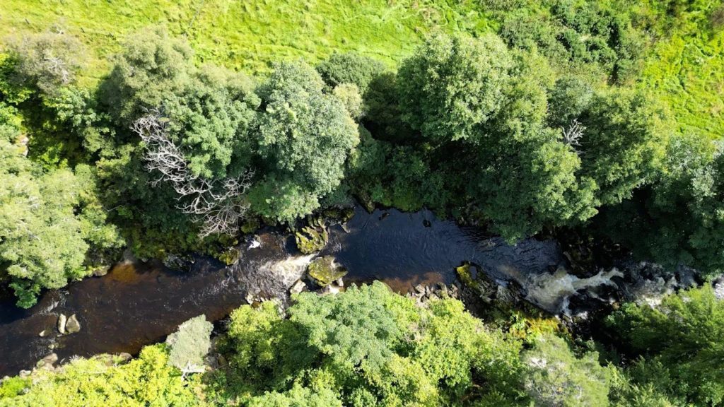 Beldorney: A Living Legacy of Stone, Sky & Wild Grace - 5
