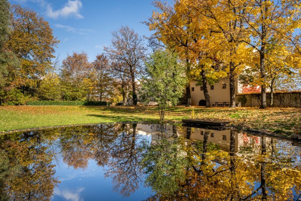 Trnova castle for sale Czechia 3f